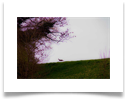 - Photo n°13 -